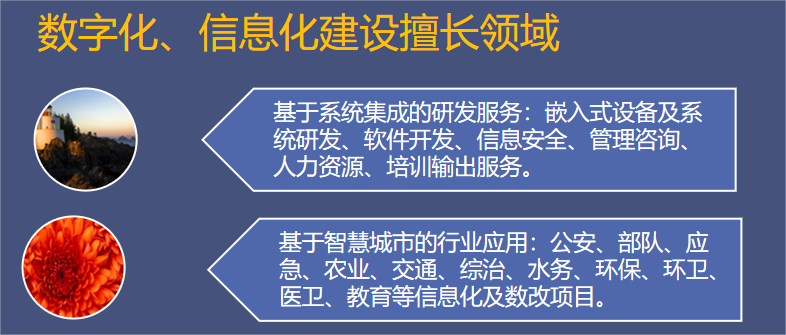 系统集成与软件开发 从规划设计到建设运维的全流程解析